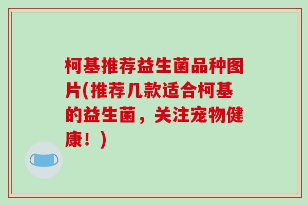 柯基推荐益生菌品种图片(推荐几款适合柯基的益生菌，关注宠物健康！)
