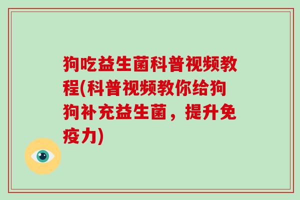 狗吃益生菌科普视频教程(科普视频教你给狗狗补充益生菌，提升力)