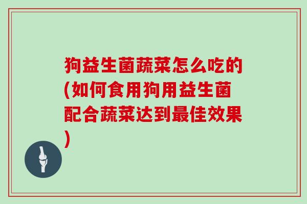 狗益生菌蔬菜怎么吃的(如何食用狗用益生菌配合蔬菜达到最佳效果)