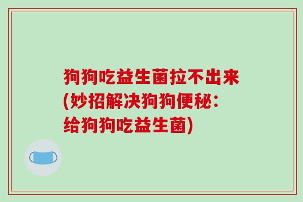 狗狗吃益生菌拉不出来(妙招解决狗狗：给狗狗吃益生菌)