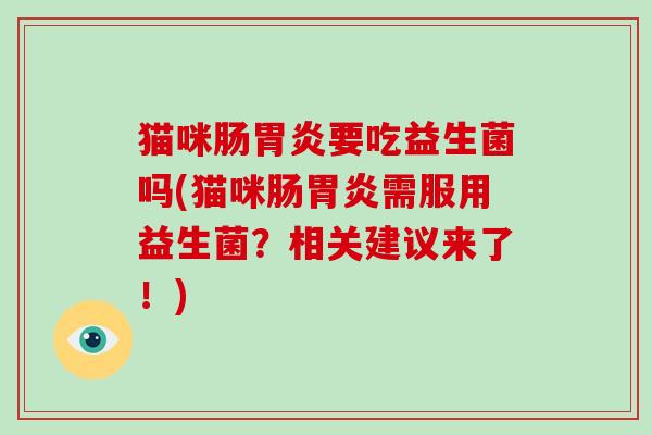 猫咪肠要吃益生菌吗(猫咪肠需服用益生菌？相关建议来了！)