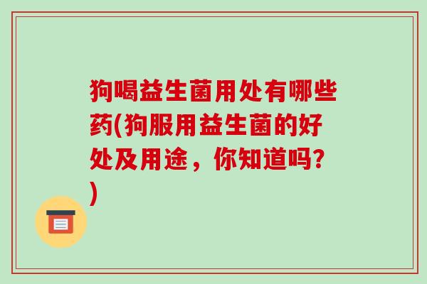 狗喝益生菌用处有哪些药(狗服用益生菌的好处及用途，你知道吗？)