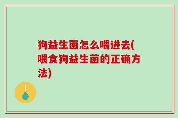 狗益生菌怎么喂进去(喂食狗益生菌的正确方法)