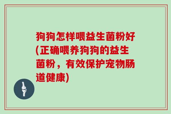 狗狗怎样喂益生菌粉好(正确喂养狗狗的益生菌粉，有效保护宠物肠道健康)