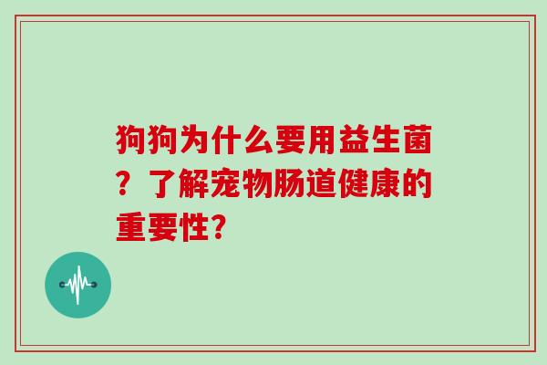 狗狗为什么要用益生菌?了解宠物肠道健康的重要性? 狗狗为什么要用益生菌?了解宠物肠道健康的重要性?