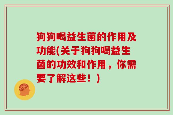 狗狗喝益生菌的作用及功能(关于狗狗喝益生菌的功效和作用，你需要了解这些！)