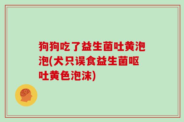 狗狗吃了益生菌吐黄泡泡(犬只误食益生菌呕吐黄色泡沫)