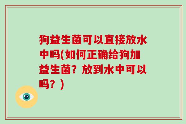 狗益生菌可以直接放水中吗(如何正确给狗加益生菌？放到水中可以吗？)