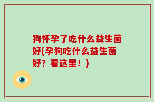 狗怀孕了吃什么益生菌好(孕狗吃什么益生菌好？看这里！)