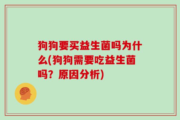 狗狗要买益生菌吗为什么(狗狗需要吃益生菌吗?原因分析) 狗狗要买益生菌吗为什么(狗狗需要吃益生菌吗?原因分析)
