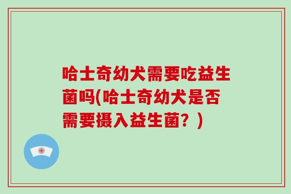 哈士奇幼犬需要吃益生菌吗(哈士奇幼犬是否需要摄入益生菌？)