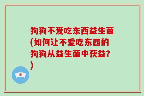 狗狗不爱吃东西益生菌(如何让不爱吃东西的狗狗从益生菌中获益？)