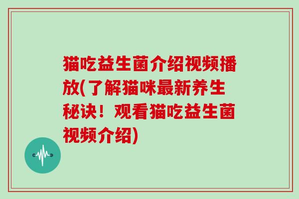 猫吃益生菌介绍视频播放(了解猫咪最新养生秘诀！观看猫吃益生菌视频介绍)