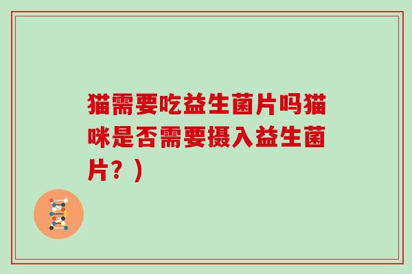 猫需要吃益生菌片吗猫咪是否需要摄入益生菌片？)