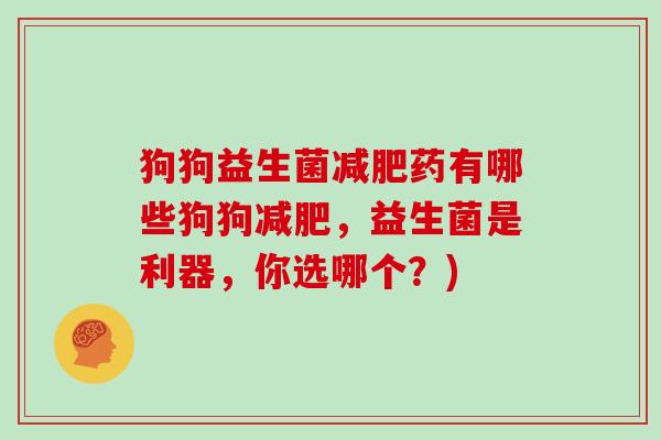 狗狗益生菌减肥药有哪些狗狗减肥，益生菌是利器，你选哪个？)