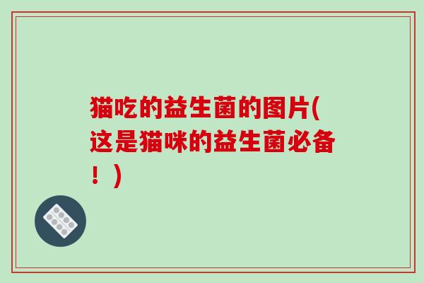 猫吃的益生菌的图片(这是猫咪的益生菌必备！)