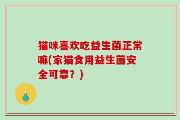 猫咪喜欢吃益生菌正常嘛(家猫食用益生菌安全可靠？)