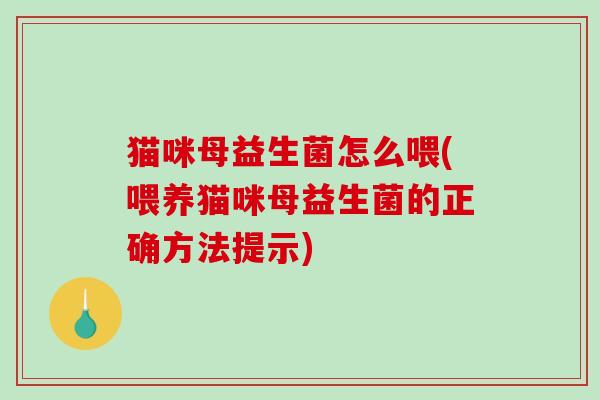 猫咪母益生菌怎么喂(喂养猫咪母益生菌的正确方法提示)