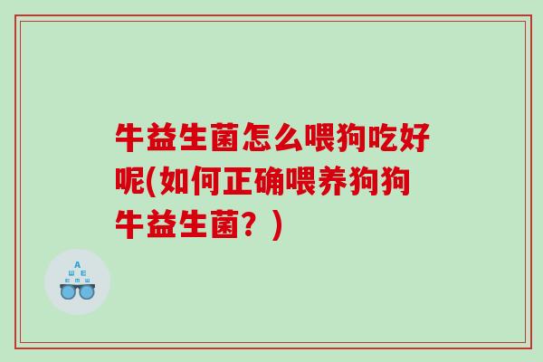 牛益生菌怎么喂狗吃好呢(如何正确喂养狗狗牛益生菌？)