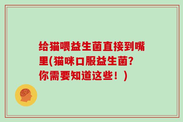 给猫喂益生菌直接到嘴里(猫咪口服益生菌？你需要知道这些！)