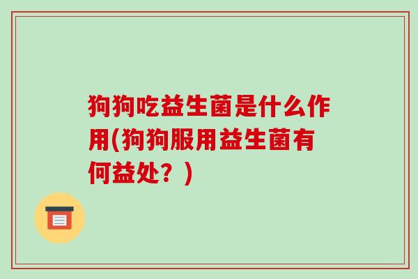 狗狗吃益生菌是什么作用(狗狗服用益生菌有何益处？)