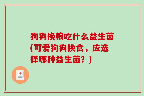 狗狗换粮吃什么益生菌(可爱狗狗换食，应选择哪种益生菌？)