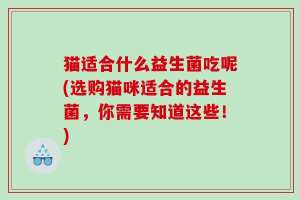 猫适合什么益生菌吃呢(选购猫咪适合的益生菌，你需要知道这些！)