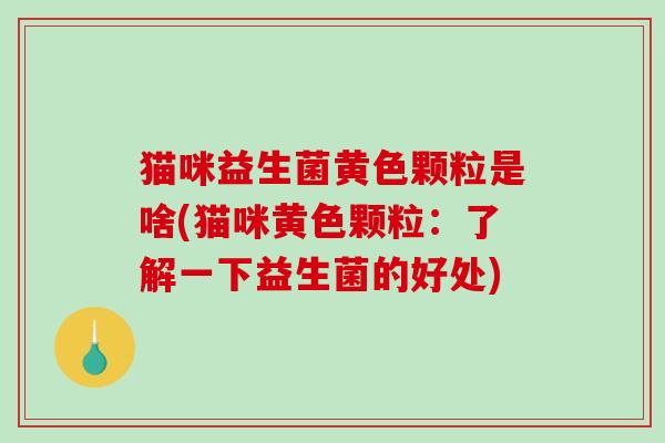 猫咪益生菌黄色颗粒是啥(猫咪黄色颗粒：了解一下益生菌的好处)