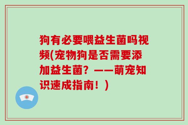 狗有必要喂益生菌吗视频(宠物狗是否需要添加益生菌？——萌宠知识速成指南！)