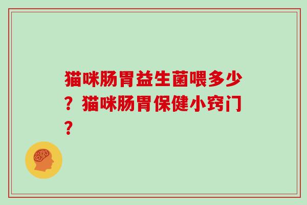 猫咪肠胃益生菌喂多少？猫咪肠胃保健小窍门？