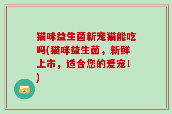 猫咪益生菌新宠猫能吃吗(猫咪益生菌，新鲜上市，适合您的爱宠！)