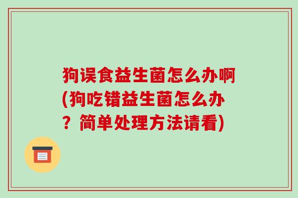 狗误食益生菌怎么办啊(狗吃错益生菌怎么办？简单处理方法请看)