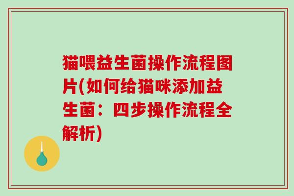 猫喂益生菌操作流程图片(如何给猫咪添加益生菌：四步操作流程全解析)