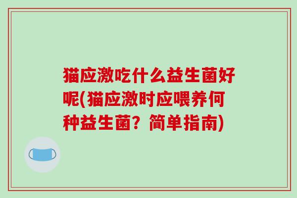 猫应激吃什么益生菌好呢(猫应激时应喂养何种益生菌？简单指南)