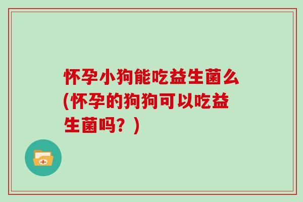 怀孕小狗能吃益生菌么(怀孕的狗狗可以吃益生菌吗？)