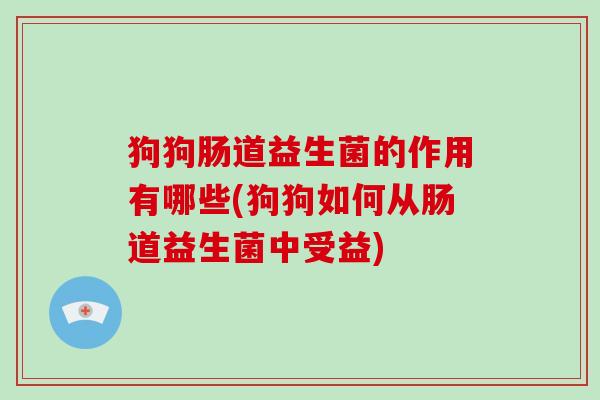 狗狗肠道益生菌的作用有哪些(狗狗如何从肠道益生菌中受益)