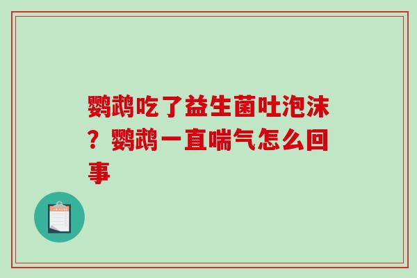 鹦鹉吃了益生菌吐泡沫？鹦鹉一直喘气怎么回事