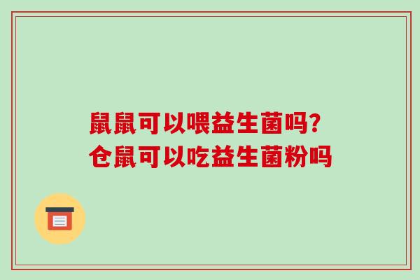 鼠鼠可以喂益生菌吗？仓鼠可以吃益生菌粉吗