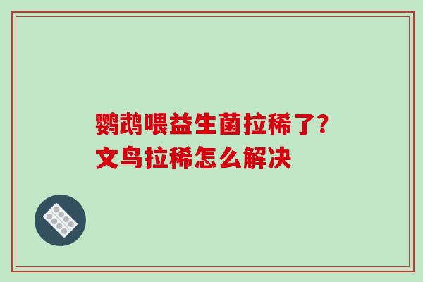 鹦鹉喂益生菌拉稀了？文鸟拉稀怎么解决