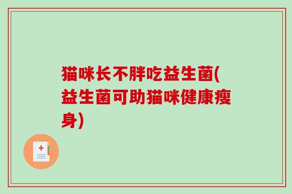猫咪长不胖吃益生菌(益生菌可助猫咪健康瘦身)