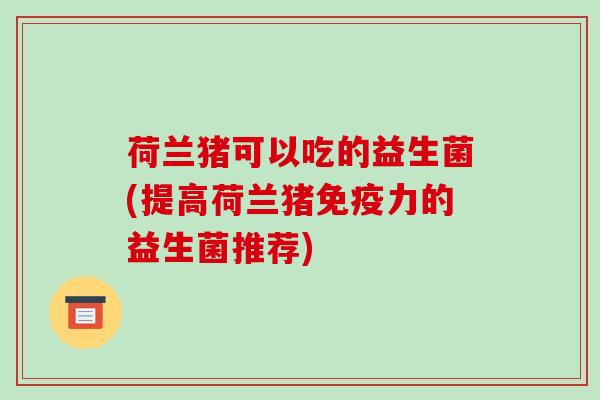 荷兰猪可以吃的益生菌(提高荷兰猪免疫力的益生菌推荐)