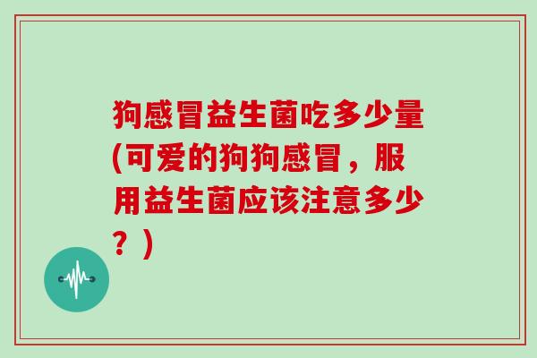 狗感冒益生菌吃多少量(可爱的狗狗感冒，服用益生菌应该注意多少？)