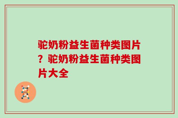 驼奶粉益生菌种类图片？驼奶粉益生菌种类图片大全