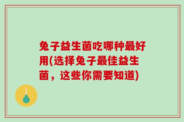兔子益生菌吃哪种最好用(选择兔子最佳益生菌，这些你需要知道)