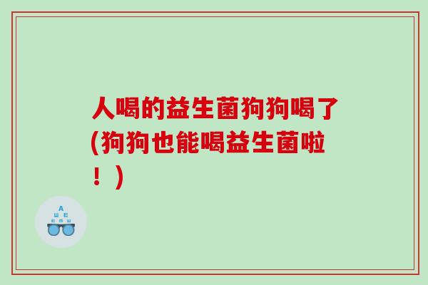人喝的益生菌狗狗喝了(狗狗也能喝益生菌啦!) 人喝的益生菌狗狗喝了(狗狗也能喝益生菌啦!)