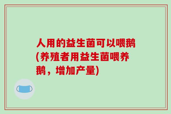 人用的益生菌可以喂鹅(养殖者用益生菌喂养鹅，增加产量)