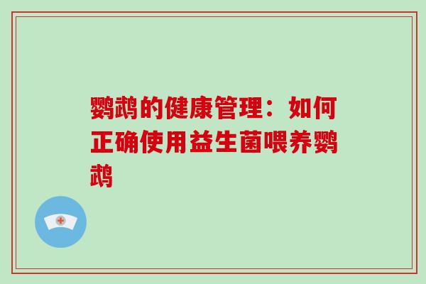 鹦鹉的健康管理：如何正确使用益生菌喂养鹦鹉