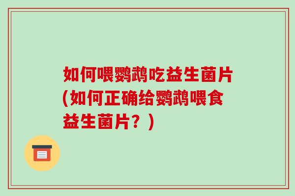 如何喂鹦鹉吃益生菌片(如何正确给鹦鹉喂食益生菌片？)