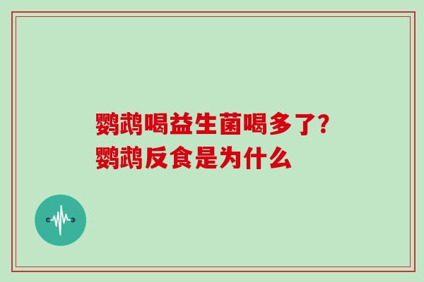 鹦鹉喝益生菌喝多了?鹦鹉反食是为什么 鹦鹉喝益生菌喝多了?鹦鹉反食是为什么