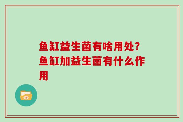 鱼缸益生菌有啥用处？鱼缸加益生菌有什么作用